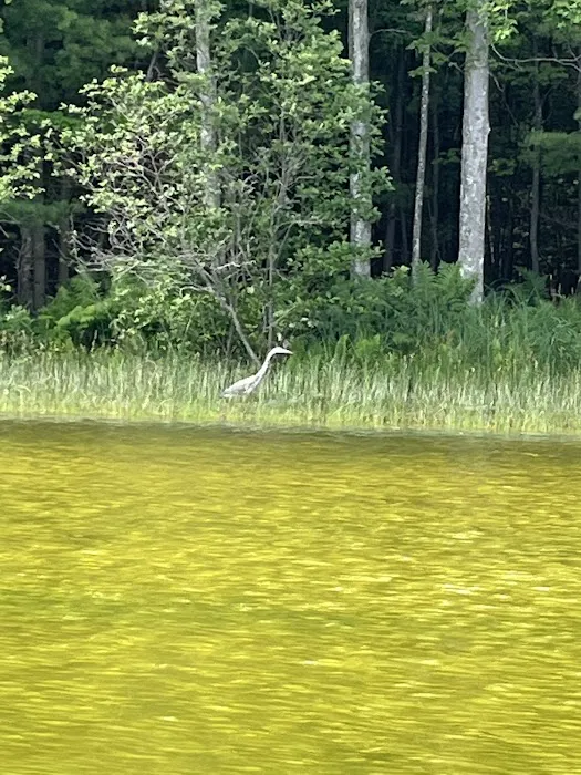 Pine Lake Campground Picture 6