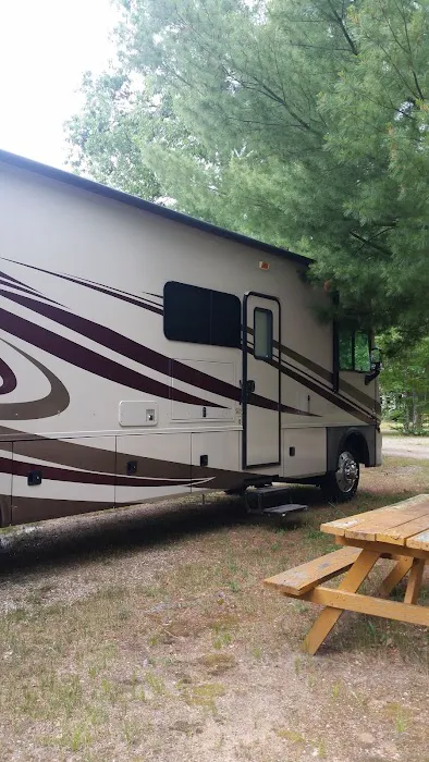 Heart of the Forest RV Park Picture 2