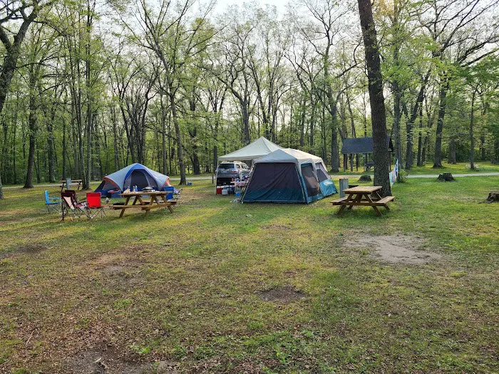 Heart of the Forest RV Park Picture 7