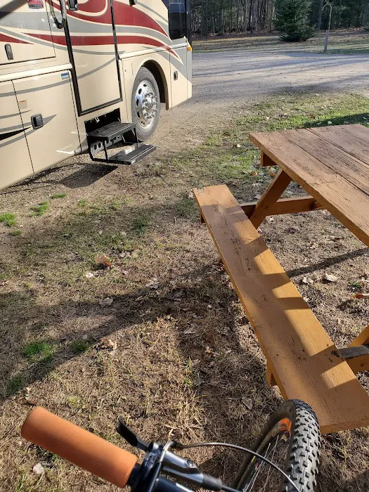 Heart of the Forest RV Park Picture 8