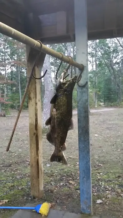 Heart of the Forest RV Park Picture 9