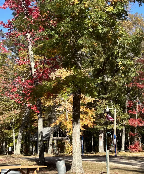 Heart of the Forest RV Park Picture 10
