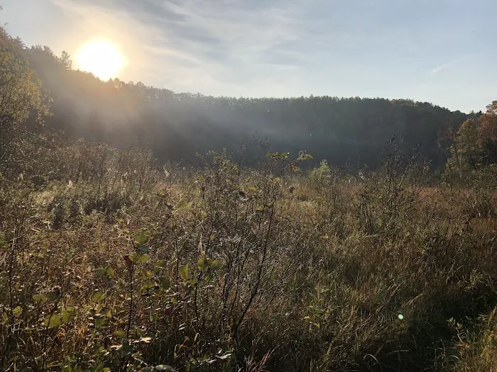 Red Bridge River Access Picture 3