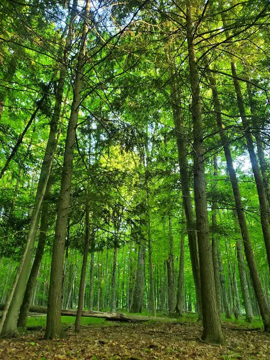 Red Bridge River Access Picture 10