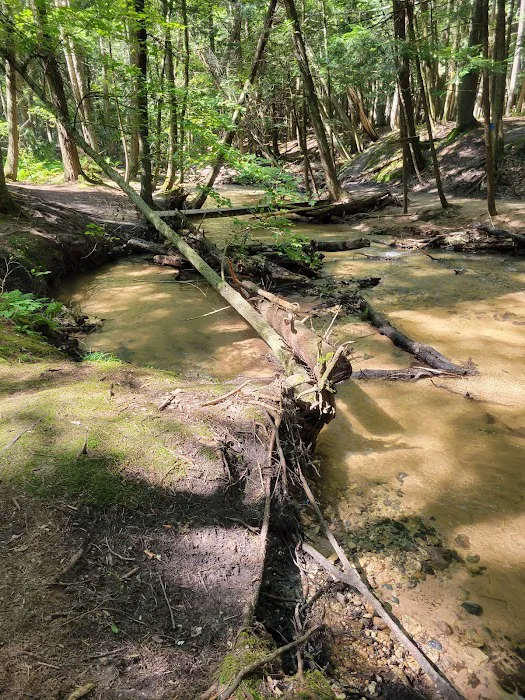 Red Bridge River Access Picture 6