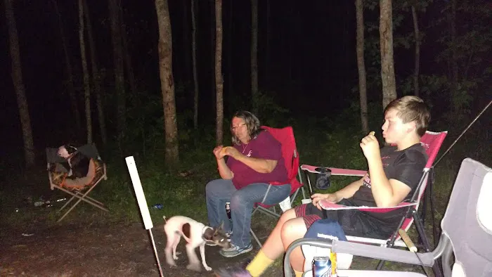 US Forest Service Picture 3