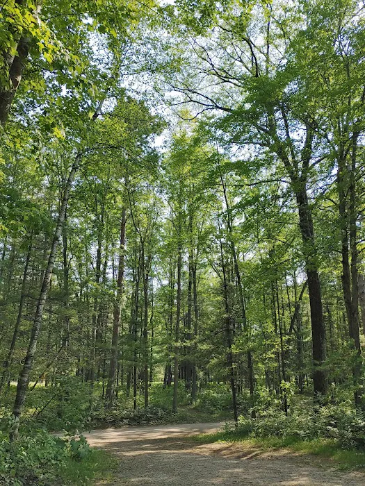 Tippy Dam Campground-MDNR Picture 1