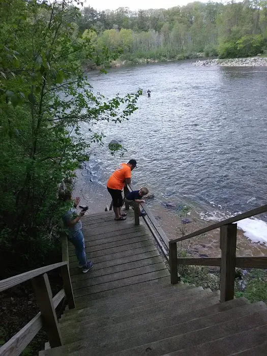 Tippy Dam Campground-MDNR Picture 8