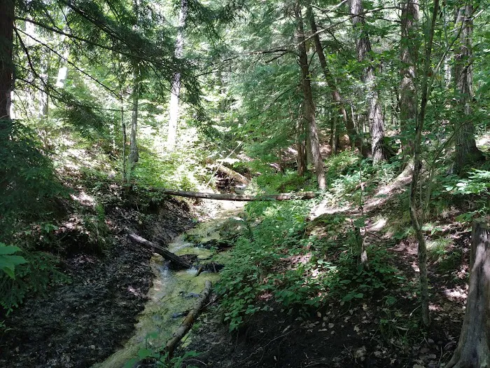 Seaton Creek Campground Picture 8