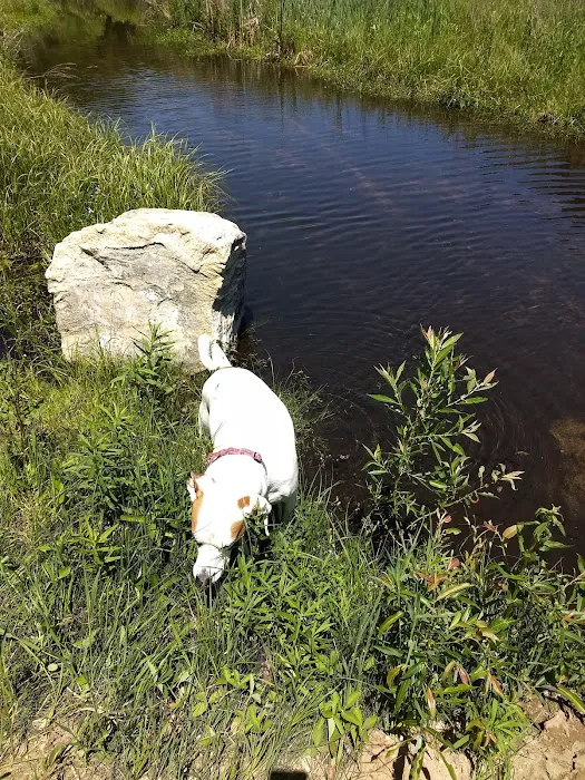 Fletcher Creek Rustic Campground Picture 3