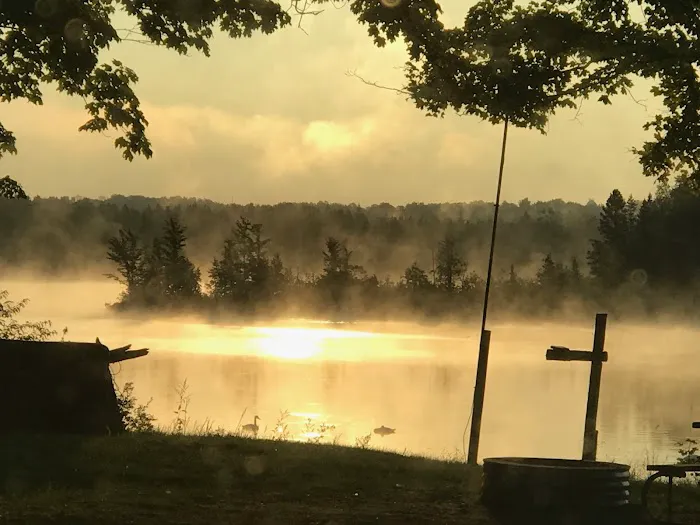 Fletcher Creek Rustic Campground Picture 8