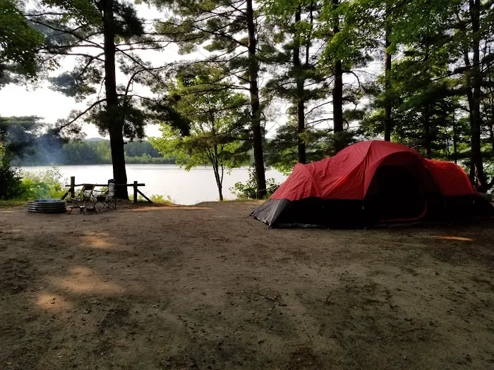 Fletcher Creek Rustic Campground Picture 4