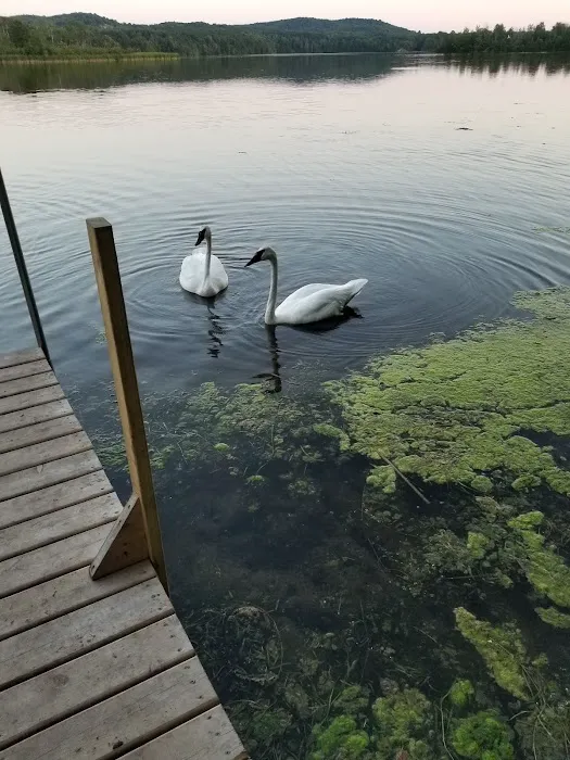 Fletcher Creek Rustic Campground Picture 1
