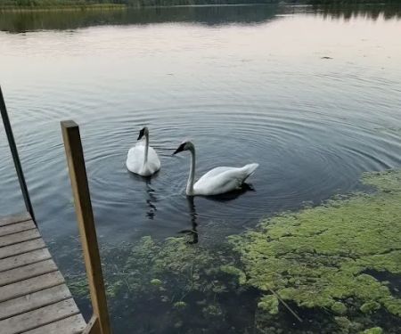 Fletcher Creek Rustic Campground