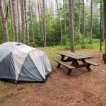 Baxter Bridge State Forest Campground