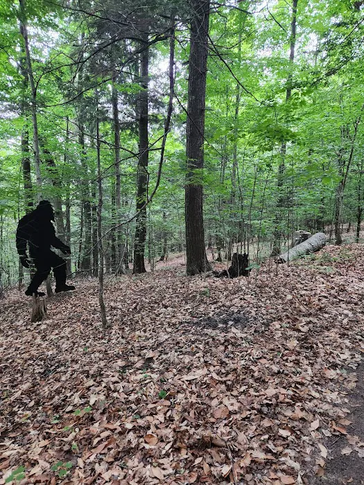 Chain O' Lakes Campground Picture 5