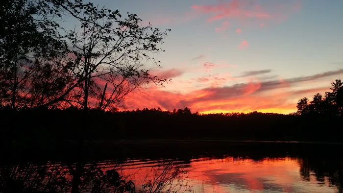 Little Wolf Lake State Campground Picture 7