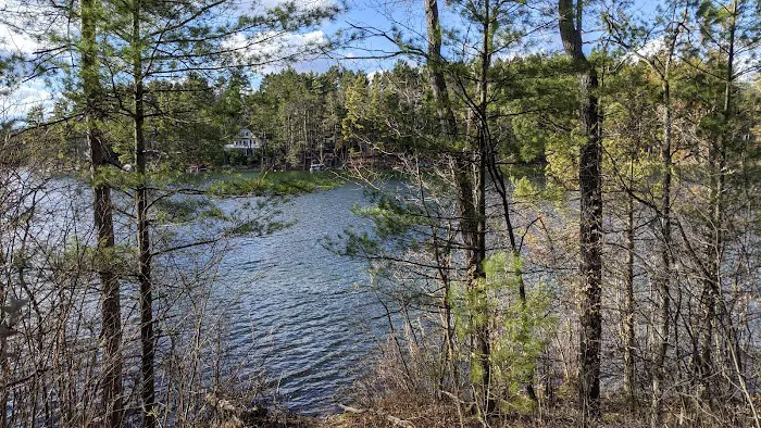 Little Wolf Lake State Campground Picture 6