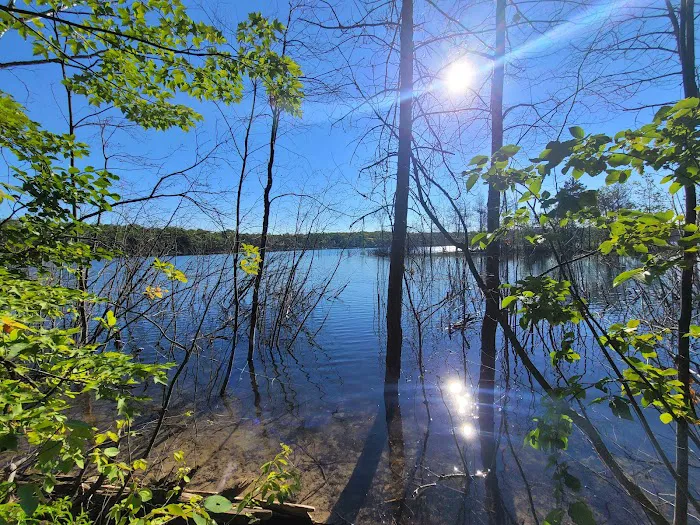 Big Bear Point State Forest Campground Picture 3