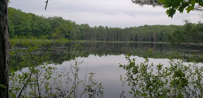 Big Bear Lake State Forest Campground Picture 3
