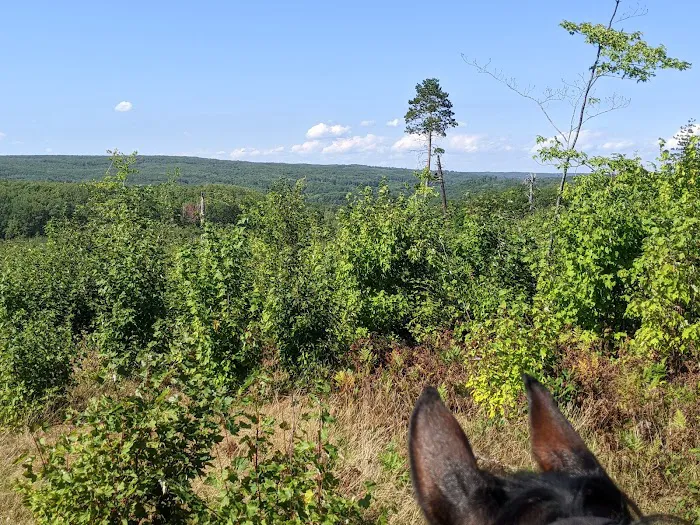 Big Oaks Equestrian State Campground Picture 10