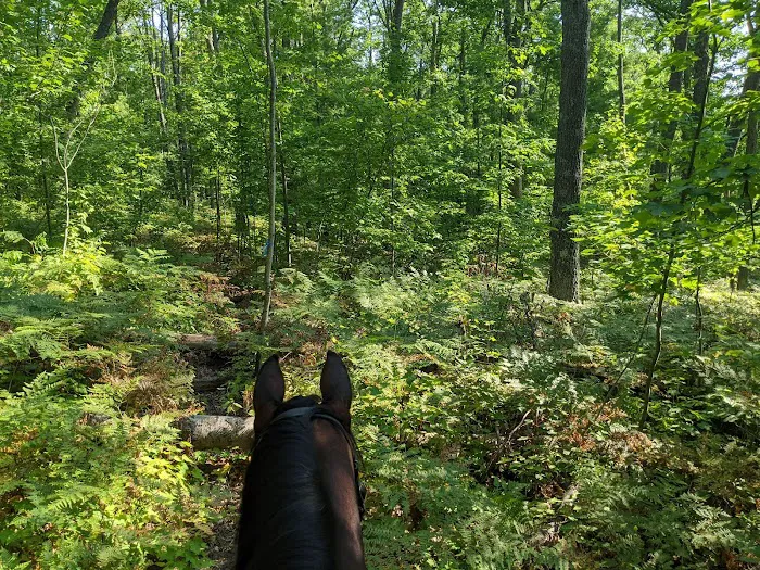 Big Oaks Equestrian State Campground Picture 8