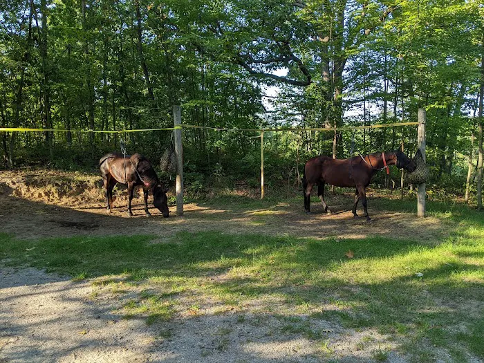 Big Oaks Equestrian State Campground Picture 9
