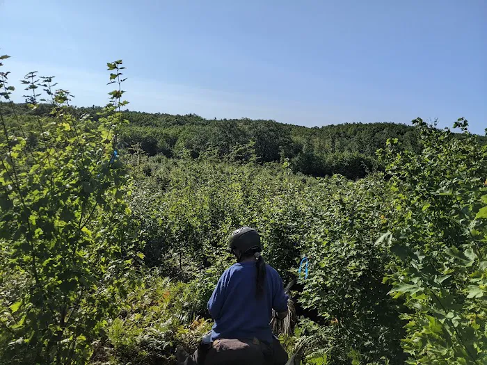 Big Oaks Equestrian State Campground Picture 2
