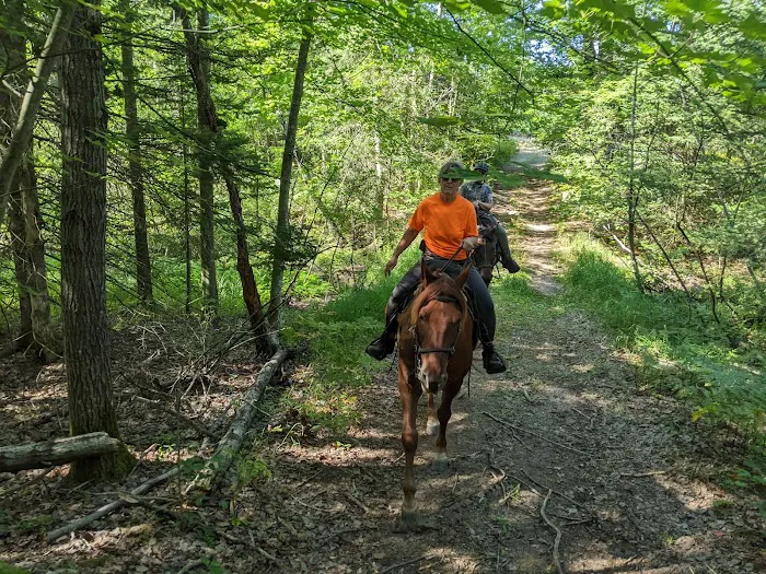 Big Oaks Equestrian State Campground Picture 5