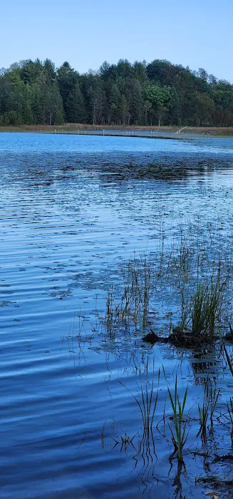 McCollum Lake State Forest Campground Picture 10