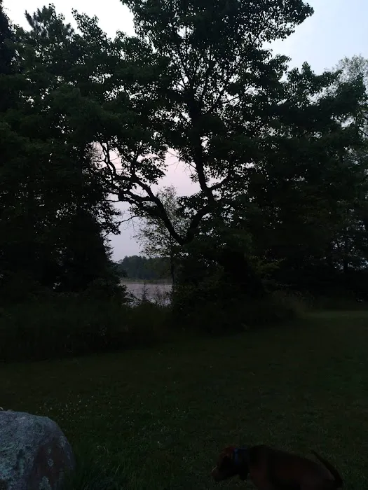 McCollum Lake State Forest Campground Picture 2