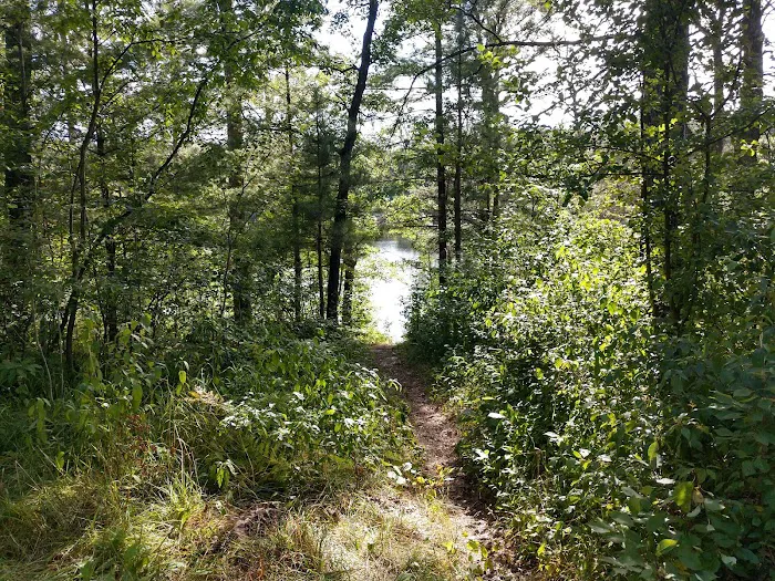 Horseshoe Lake Campground Picture 1