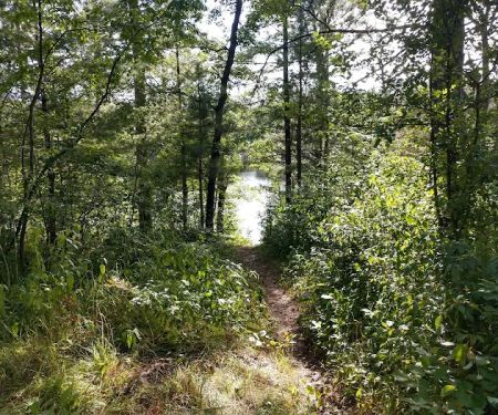Horseshoe Lake Campground