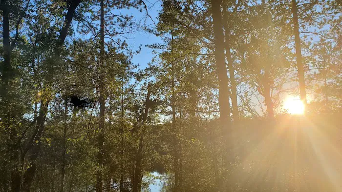 Horseshoe Lake Campground Picture 4