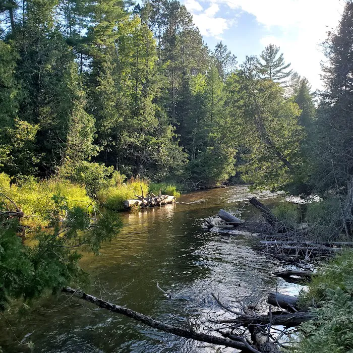 Scheck's Place State Forest Campground Picture 1