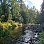 Scheck's Place State Forest Campground