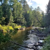 Scheck's Place State Forest Campground ico