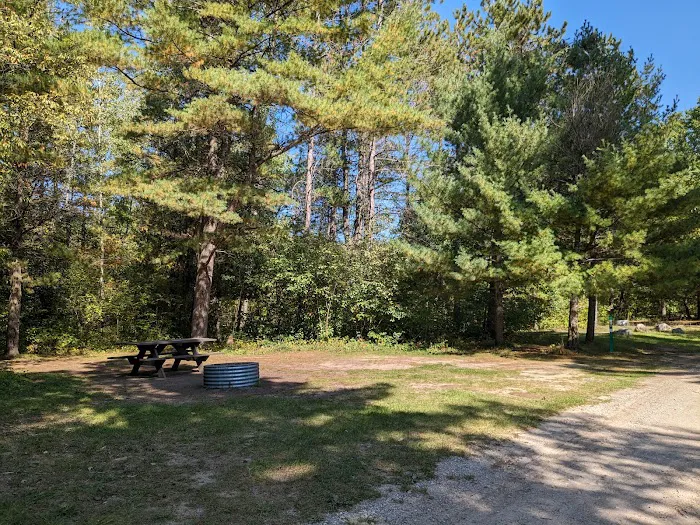 Scheck's Place State Forest Campground Picture 7