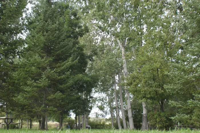 Everflowing Waters Campground Picture 10