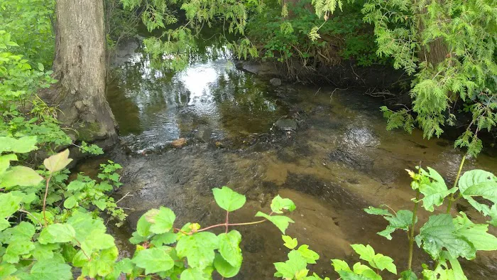 Everflowing Waters Campground Picture 4