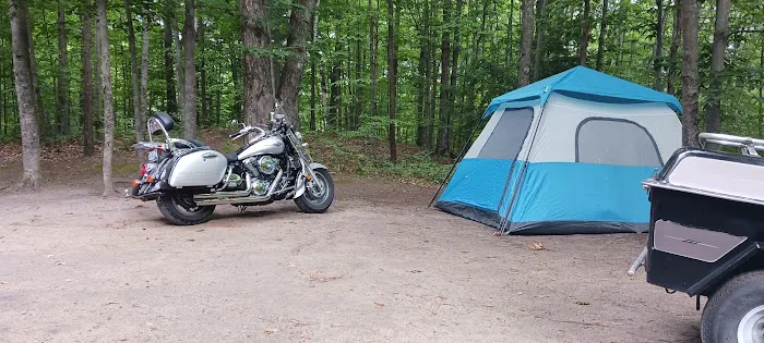 Arbutus Lake State Forest Campground Picture 2
