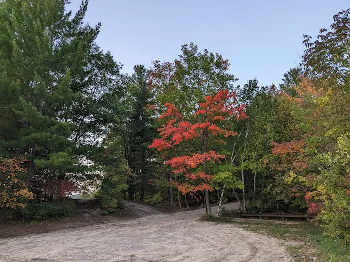 Arbutus Lake State Forest Campground Picture 7