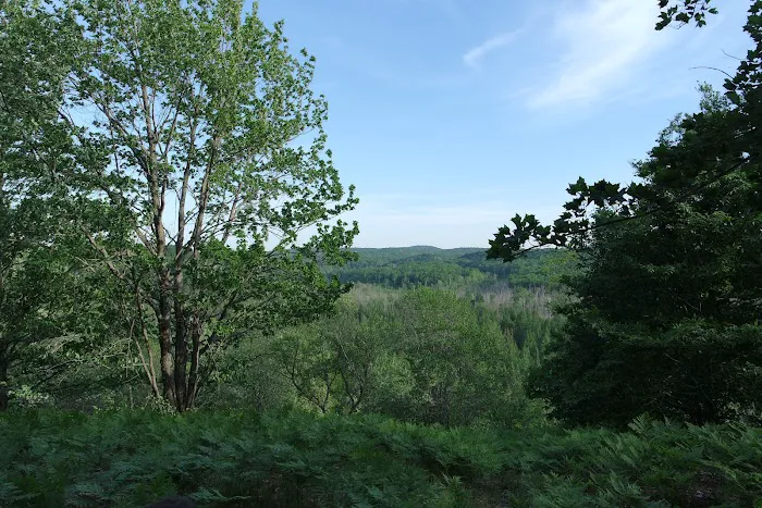 Pinney Bridge State Forest Campground Picture 7
