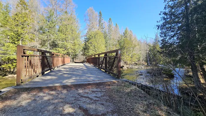 Pinney Bridge State Forest Campground Picture 3