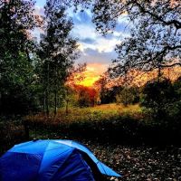 Pinney Bridge State Forest Campground ico