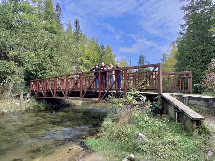 Pinney Bridge State Forest Campground Picture 4
