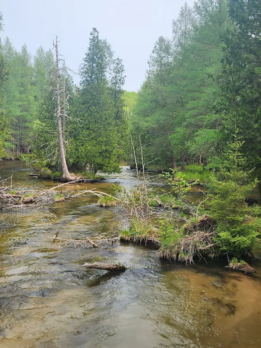 Pinney Bridge State Forest Campground Picture 9