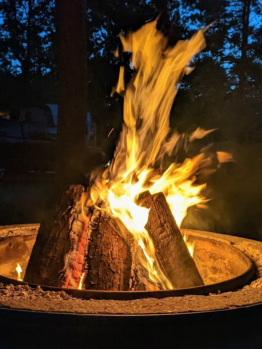 Traverse City State Park Campground Picture 1
