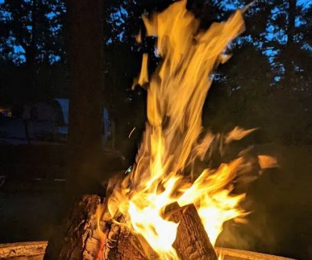 Traverse City State Park Campground
