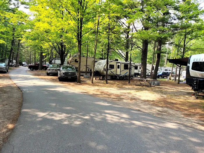 Traverse City State Park Campground Picture 7